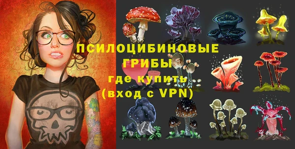 мдпв Абдулино